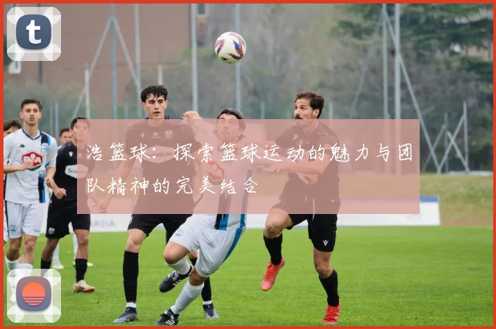 浩篮球：探索篮球运动的魅力与团队精神的完美结合