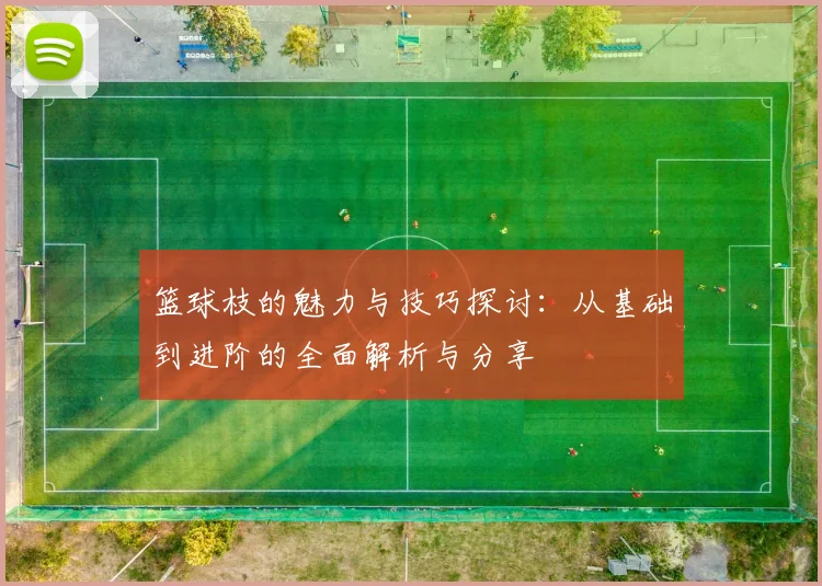 篮球枝的魅力与技巧探讨：从基础到进阶的全面解析与分享