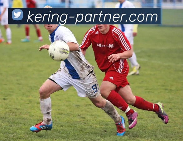 Kaiyun China全站App